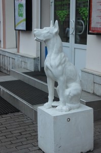уайт